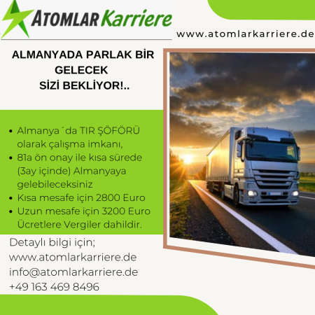 ALMANYADA TIR ŞÖFÖRÜ OLARAK ÇALIŞMAK İSTER MİSİNİZ?